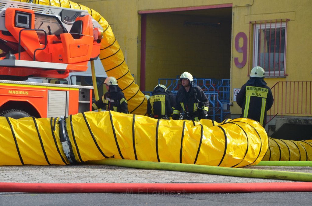 Grossfeuer Poco Lager Koeln Porz Gremberghoven Hansestr P612.JPG - Miklos Laubert